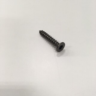 Screw Torx 304Ss Fixing Panel