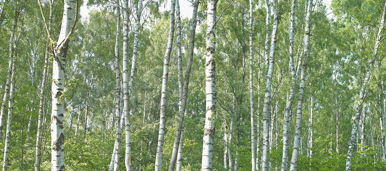 Westerberg kylpyhuoneessa